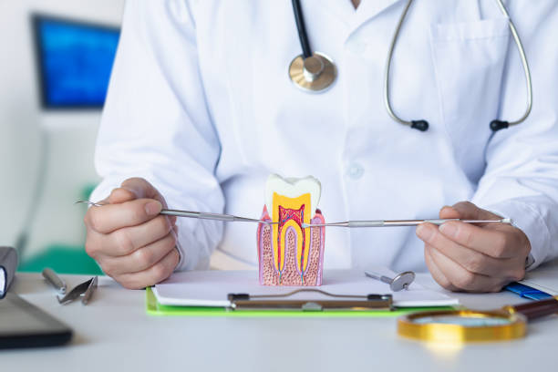Best 24-Hour Emergency Dentist in Saybrook On The Lake, OH